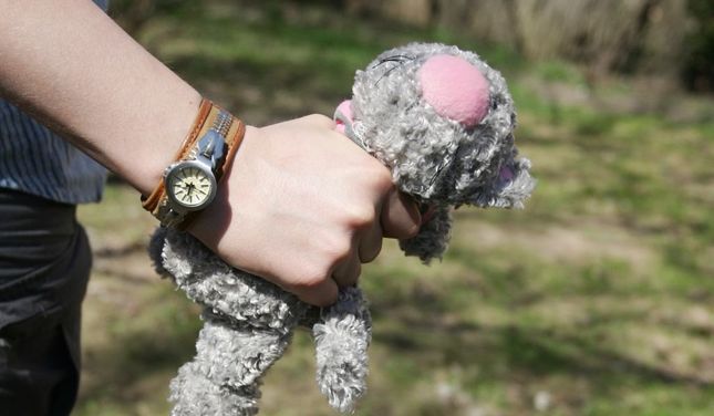 1% no bērnu seksuālu izmantošanu saturošām tīmekļa vietnēm Eiropā tiek uzturētas Latvijā