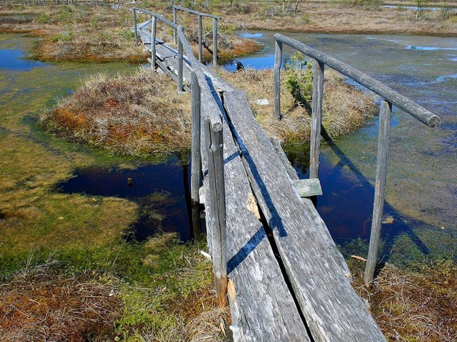 11. maijā atklāj sev Ķemeru nacionālo parku!