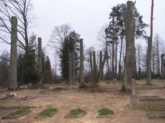 Kokus Matkules kapsētā nozāģē, lai vieglāk kopt kapus