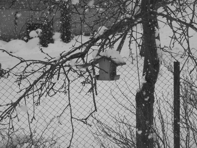 Mums [atkal] ir sniegs. Citiem neesot.