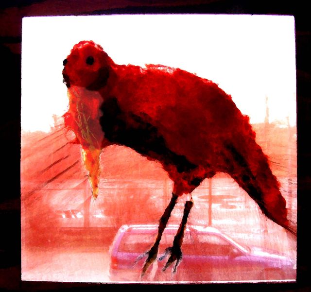 Agijas Balodes «Sarkanais ibiss» gūst pasaules mēroga atzinību