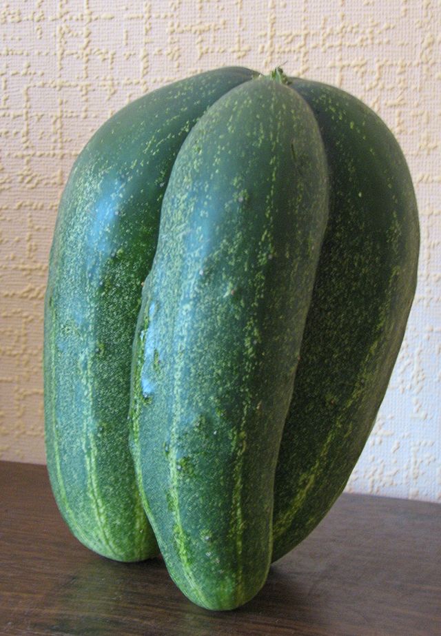 Vispirms dvīņi, bet nu – trīnīši