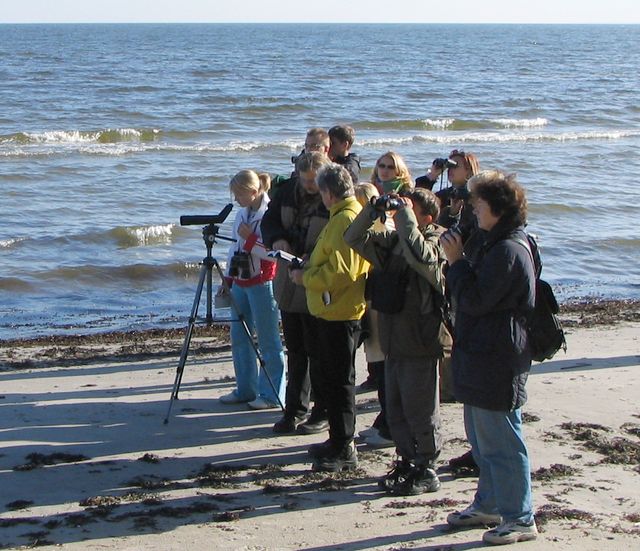 Laiks vērot gājputnus