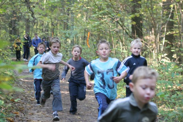 Rudens kross Putniņu mežā