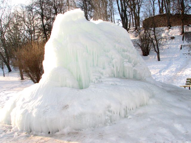 Dabas veidots mākslas darbs