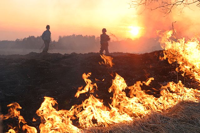Kūlas ugunsgrēku skaits ir lielākais pēdējo gadu laikā
