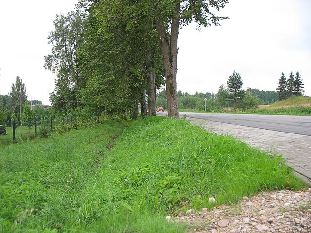 Ko darīt ar gājēju celiņa malām?