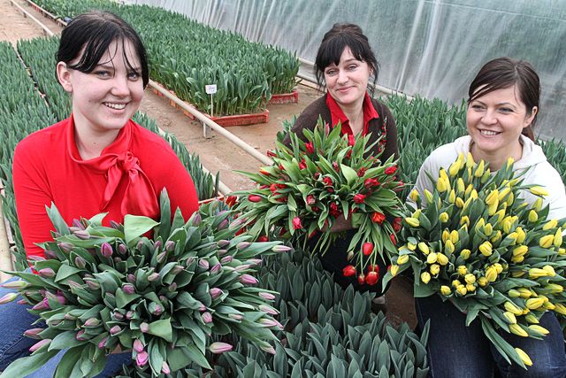 Priecīgus tulpīšu svētkus, mīļās!