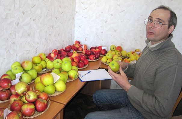 Pūres dārzkopības izmēģinājumu centrā notiek ābolu izstāde