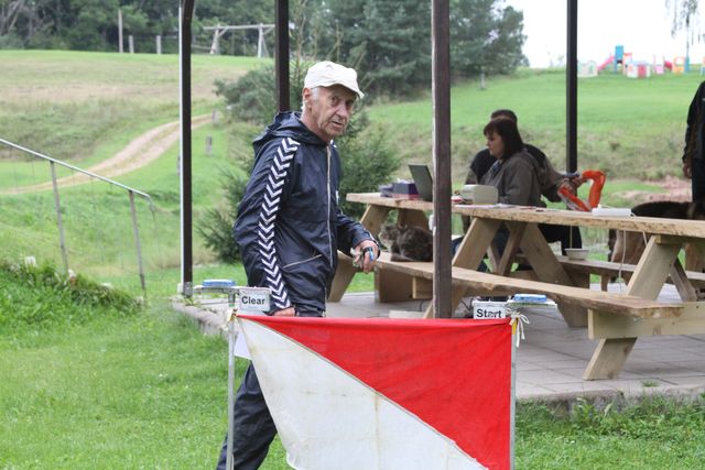 Kur tad orientēsies, ja meža nav?!