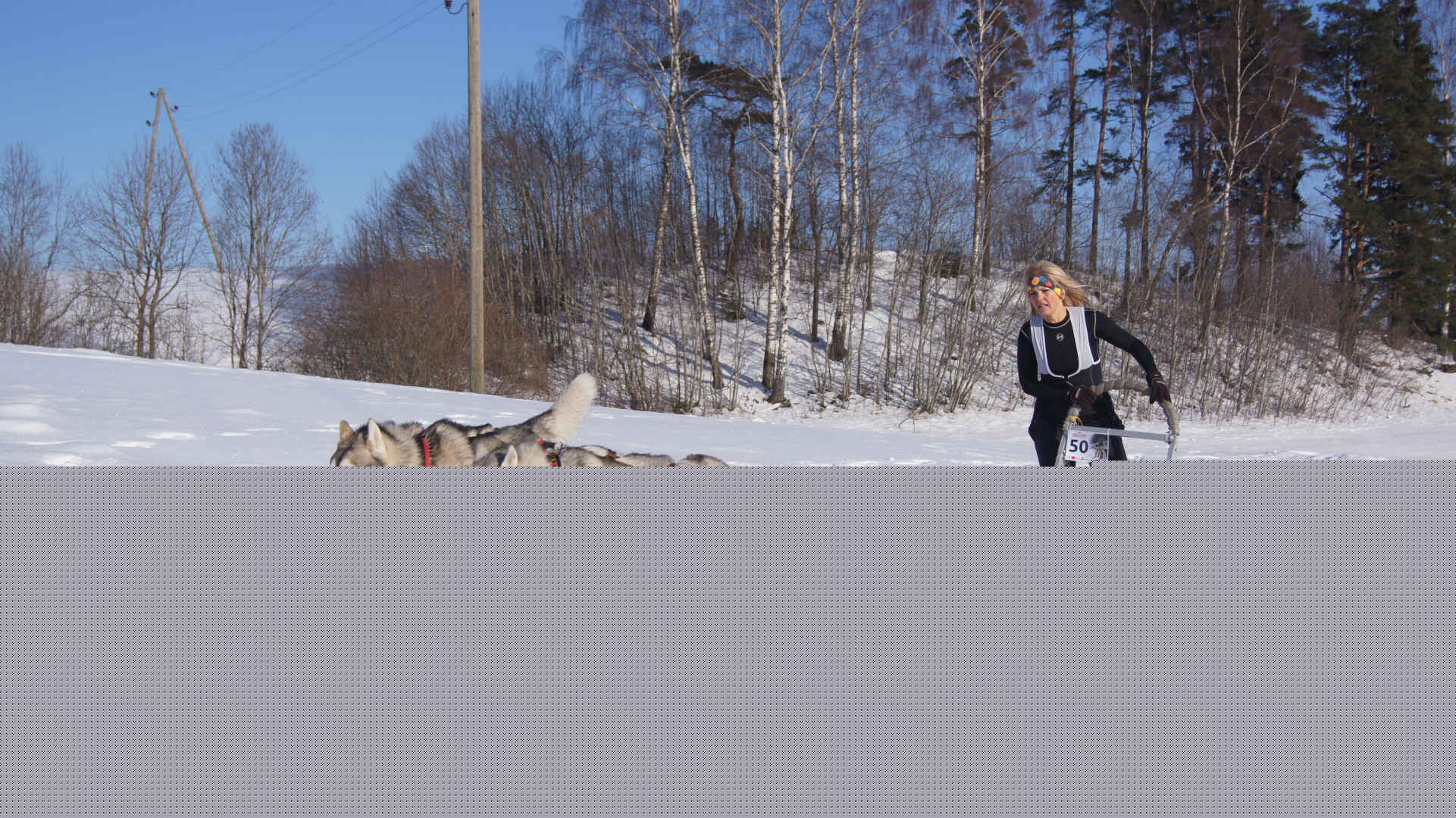 Panākumi kamanu suņu «Baltijas ziemas kausa» izcīņā