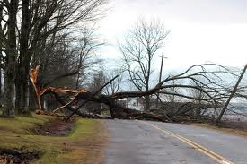 Vētra radījusi satiksmes traucējumus; lūdz ziņot par nolauztiem kokiem