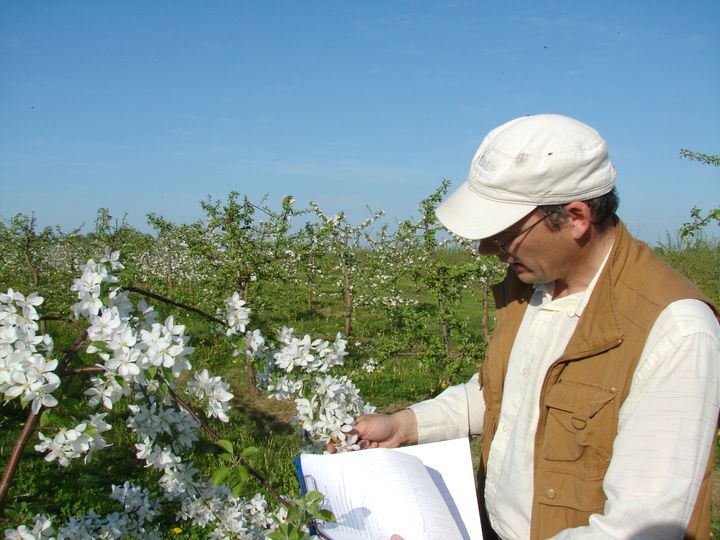 Vai slēgs Pūres Dārzkopības pētījumu centru?