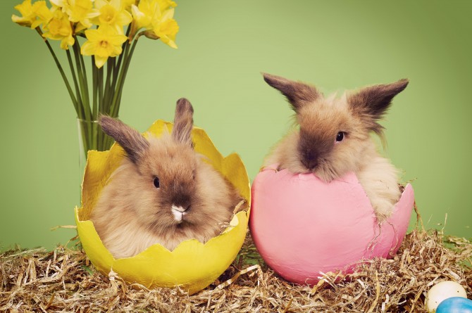 Lai Lieldienas būtu priecīgas un drošas!