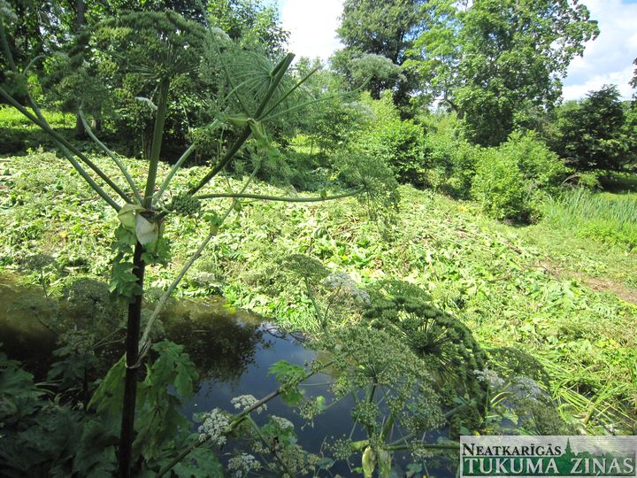 Par latvāņiem Engures novadā