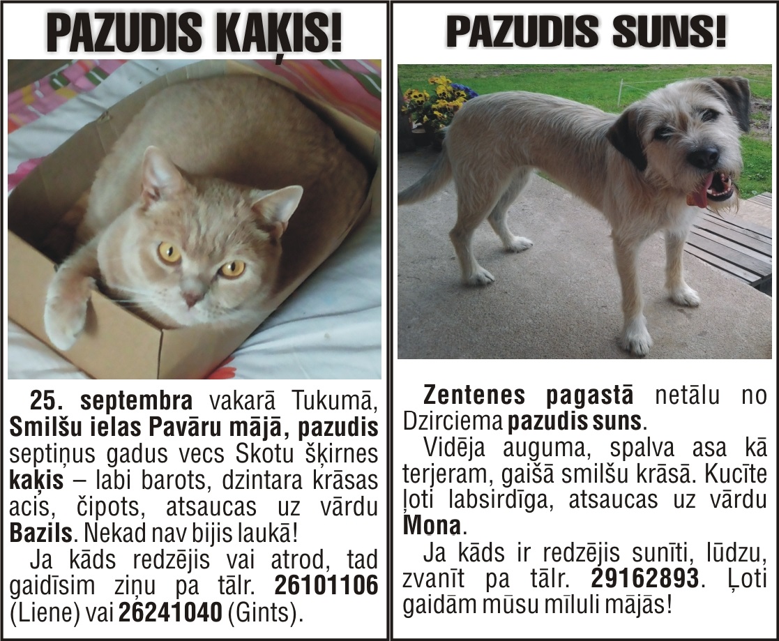 Saimnieki meklē savus pazudušos draugus
