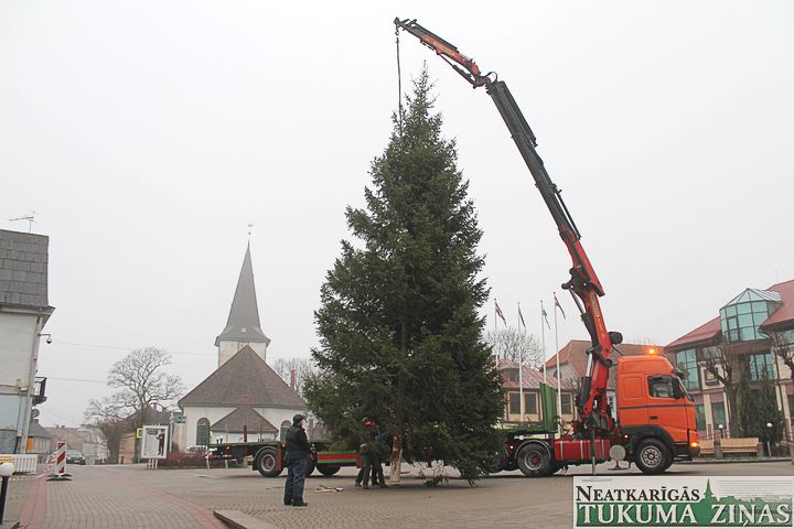 Tukumā uzstādīta Lielā svētku egle