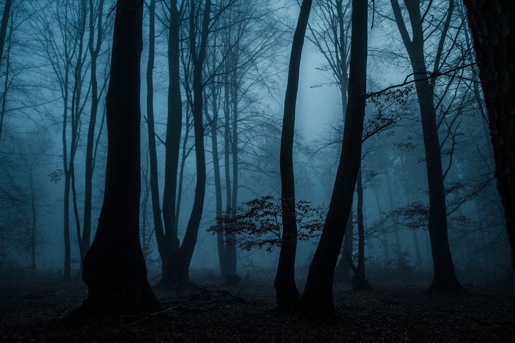 Mežā Engures novadā avarē automašīna, kuras vadītāja neskaidros apstākļos mirusi