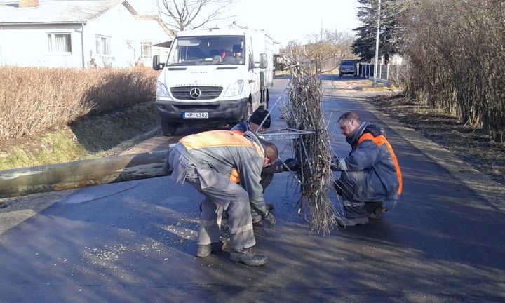 Kā tukumnieki glāba sava stārķa Ziedoņa ligzdu