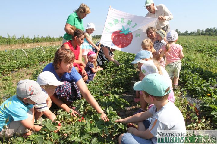 Rīt Pūrē sākas Zemeņu ielas svētki