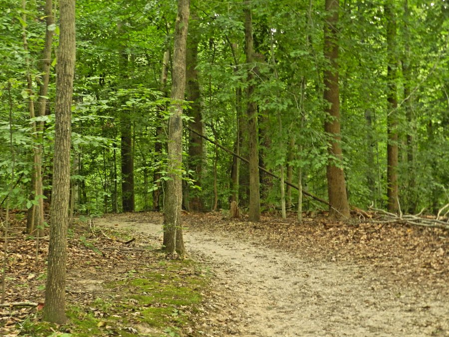 Kandavas pagastā atrod apmaldījušos sievieti, Lestenē zibens iespēr mājā, Tumē aiztur mopēdistu-kukuļdevēju
