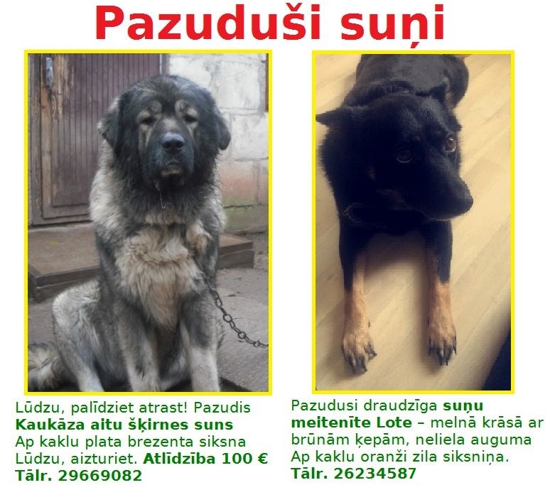 Palīdzēsim saimniekiem atrast savu mīluļus