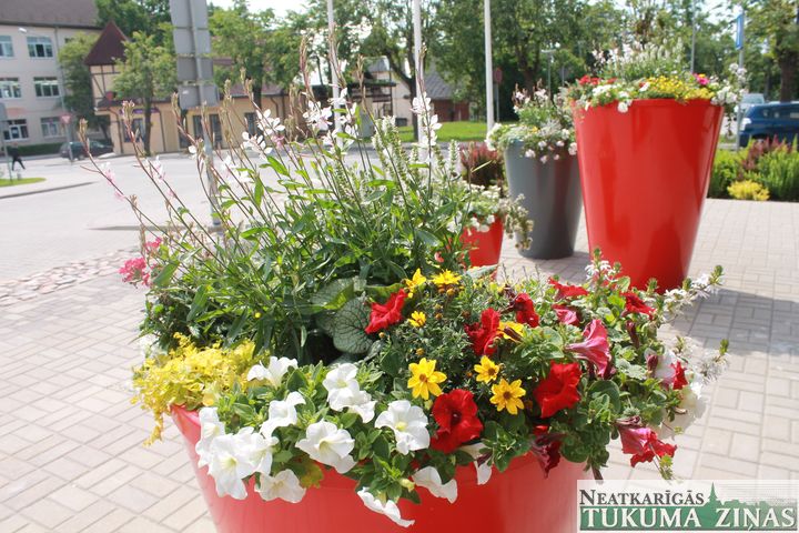 Konkurss «Tukuma smukums» sākas