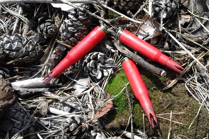 Patriotisma citādā seja