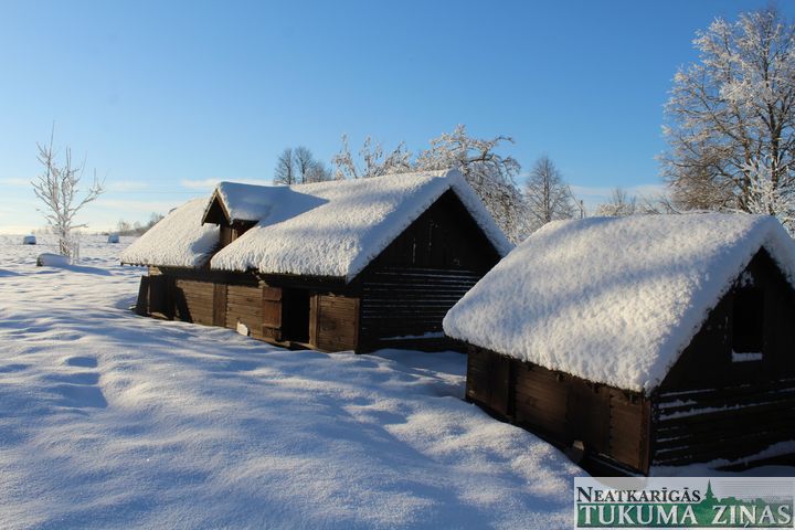 Ziemas saulgriežu skoliņa Pastariņa muzejā /FOTO/