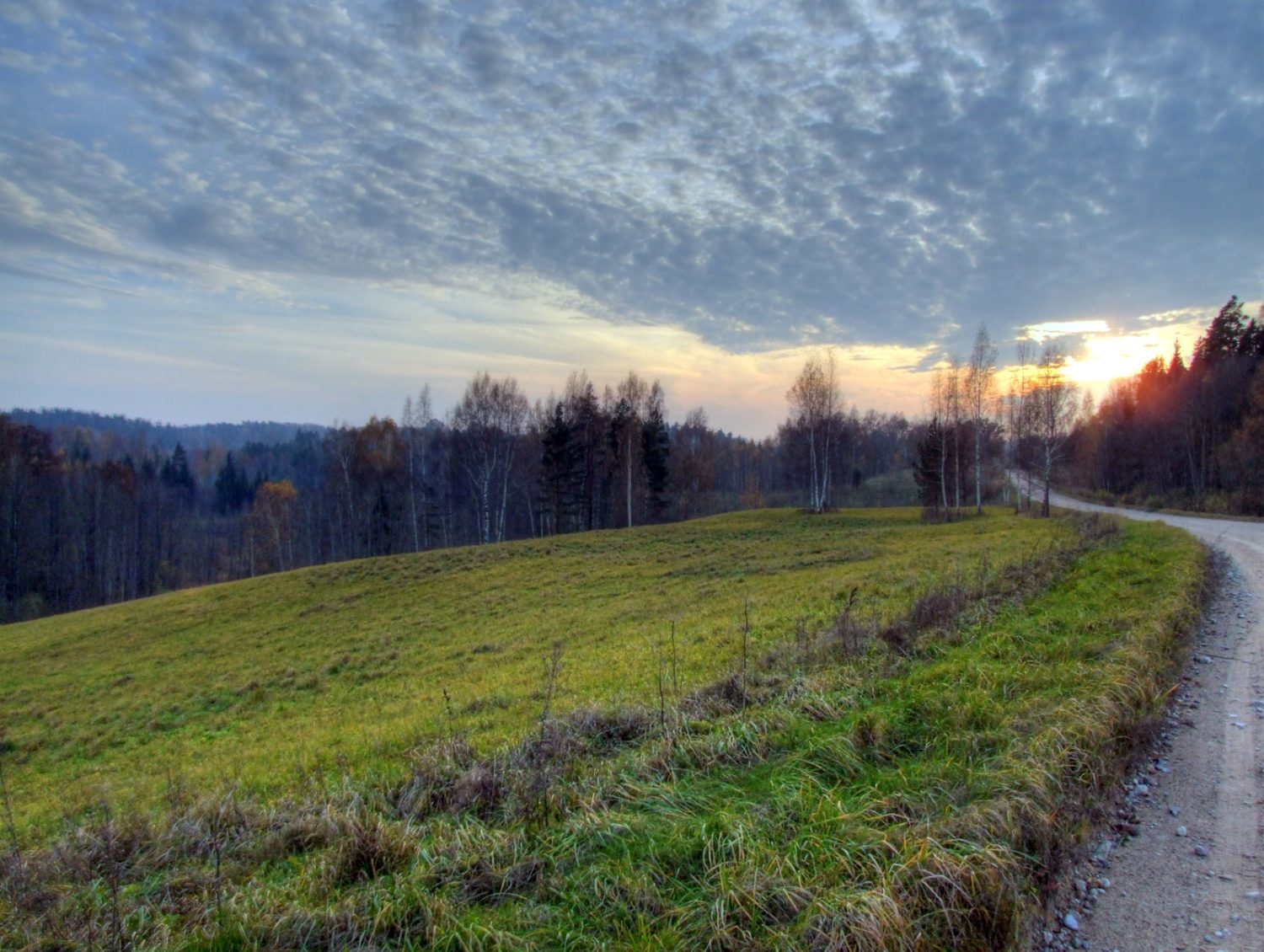 Sēmes lielākā problēma – ceļi