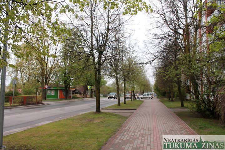Tukumā, Kurzemes ielā, plānots nozāģēt visas liepas
