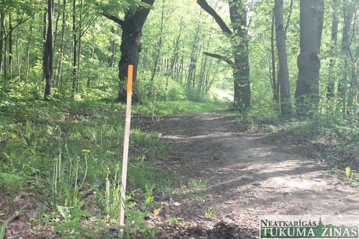 Plāno izbūvēt apvedceļu caur Durbes parku