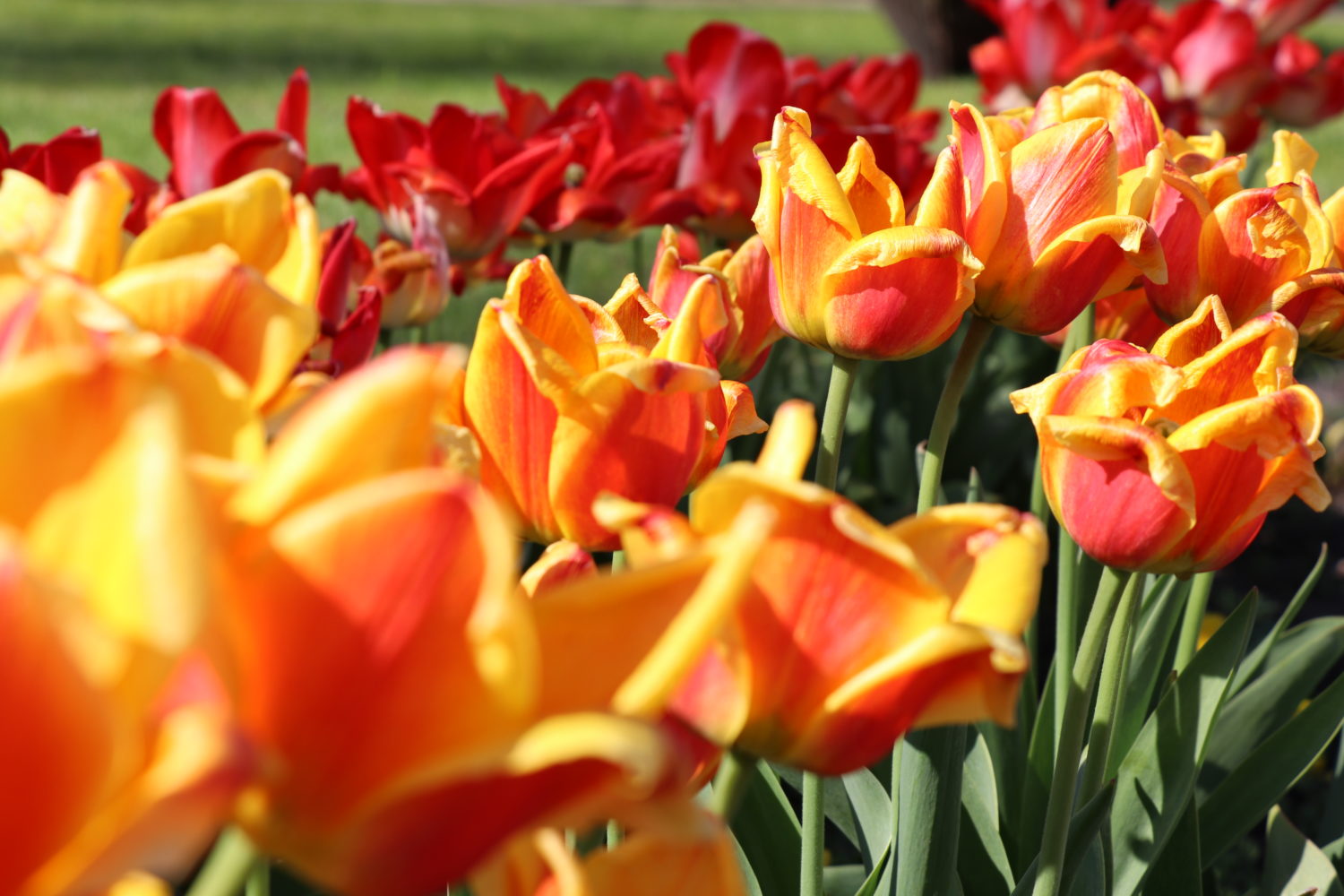 Nedēļas nogales pasākumi Tukumā un apkārtnē