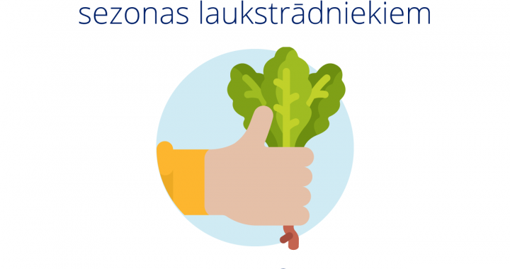Sezonas laukstrādniekiem nosaka īpašu nodokļu režīmu