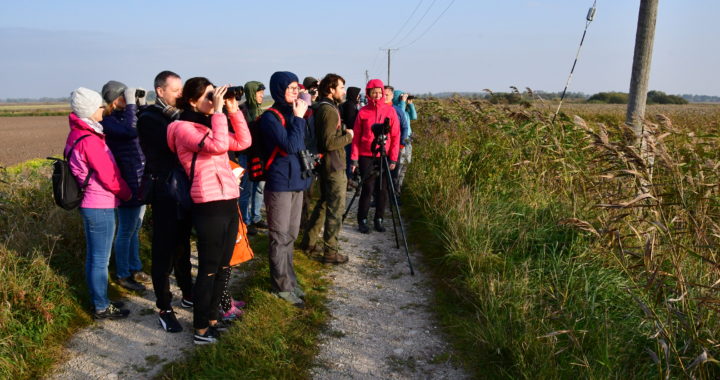 Nedēļas nogalē Eiropā novēroti teju seši miljoni putnu: Latvijā 36 tūkstoši