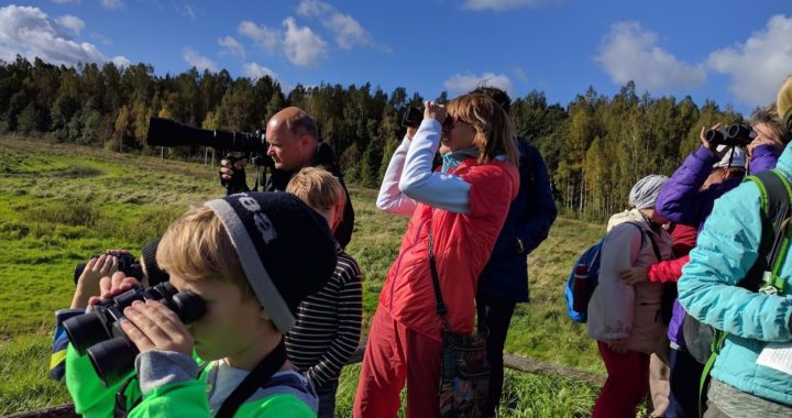 Ceļotāju diena, Stirnu buks un citi pasākumi Tukuma pusē