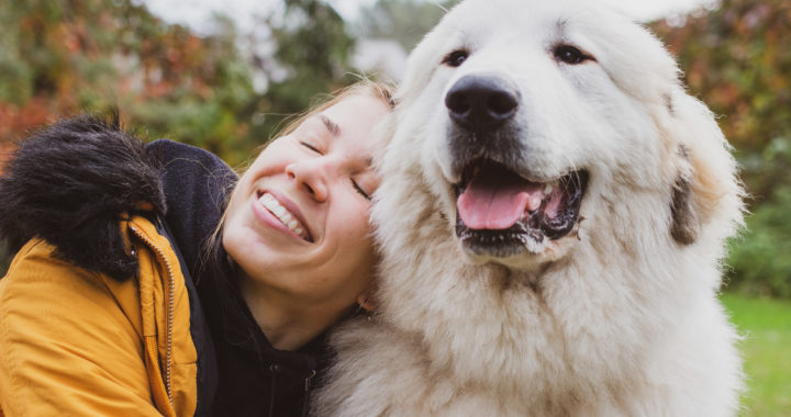 Atbalsti Pepiju – topošo suni terapeitu