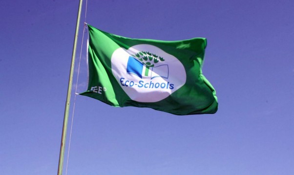 Noskaidroti Ekoskolu Rīcības dienu 2020 konkursa uzvarētāji. To vidū ir arī Irlavas pamatskola