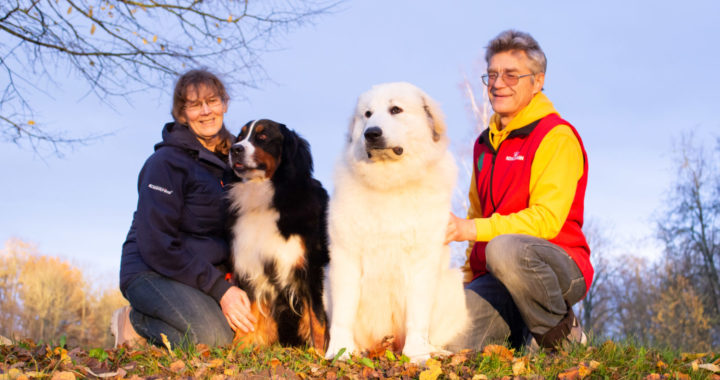Pepija ir nokārtojusi eksāmenu!