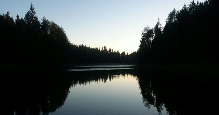 Platformā «Mana balss» uzsākta parakstu vākšana par Melnezera mežu