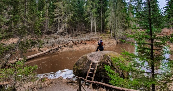 Piešķirs finansējumu Viesatu dabas takai