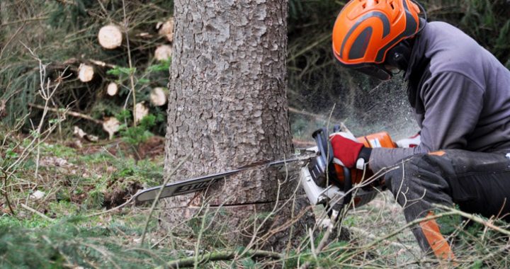 Par laimi – 15. aprīlis nav tālu!