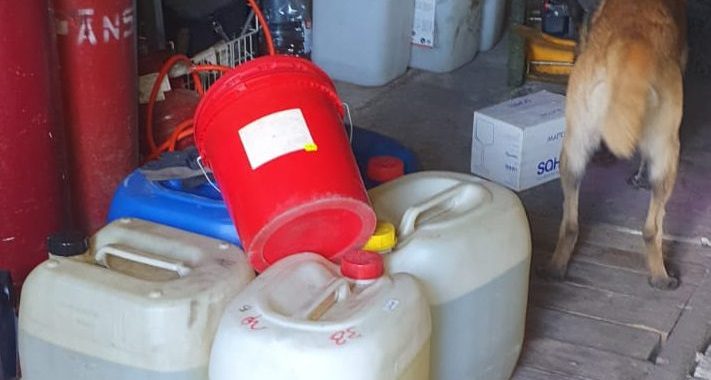 Policijas suns uzož cigaretes