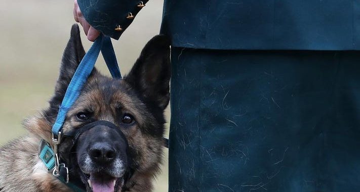 Ceturtdien likumsargi veica pārbaudes vairākās skolās Tukuma un Aizkraukles novadā