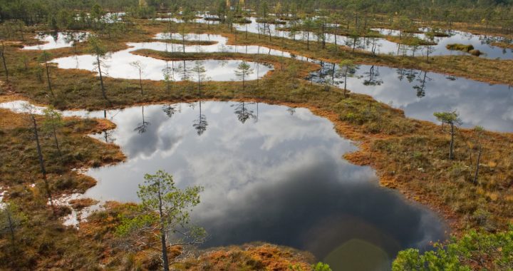 Sācies mitrāju atjaunošanas mēnesis. Būs pasākums arī Kaņiera ezerā