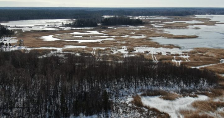 Aicina uz talku Kaņiera ezerā