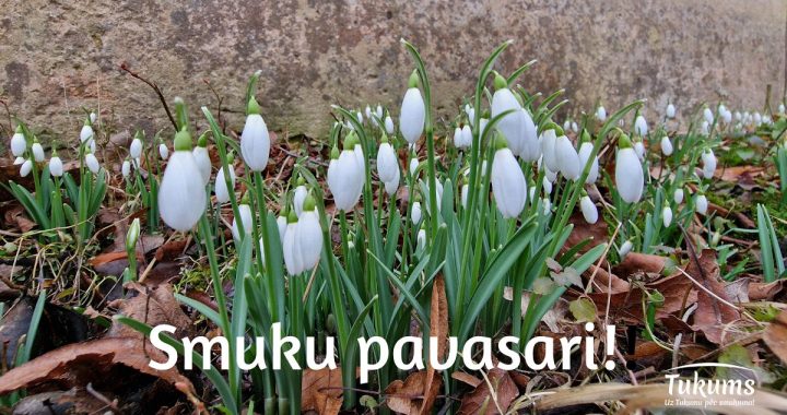 Pasākumi marta vidū Tukuma novadā