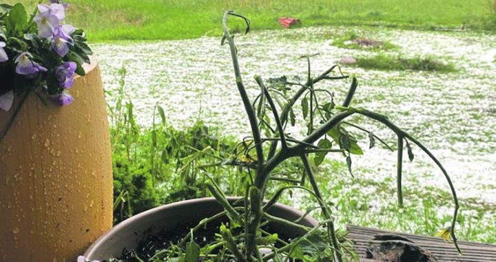 Ko krusa Sēmes pagastā sastrādājusi