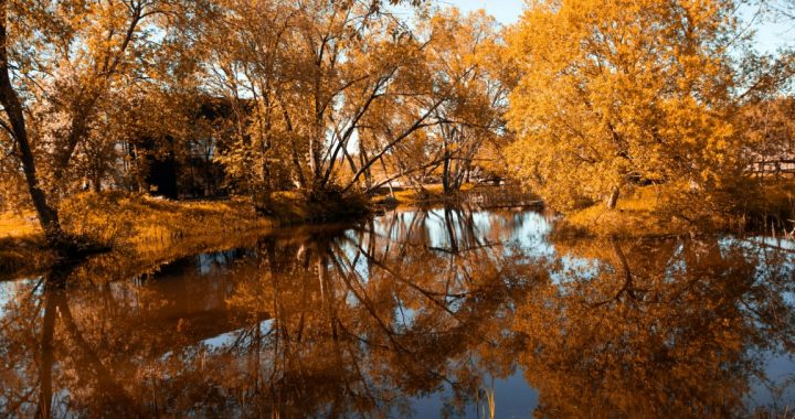 Atbalsts uzņēmējiem Tukuma novadā 2024. gadā