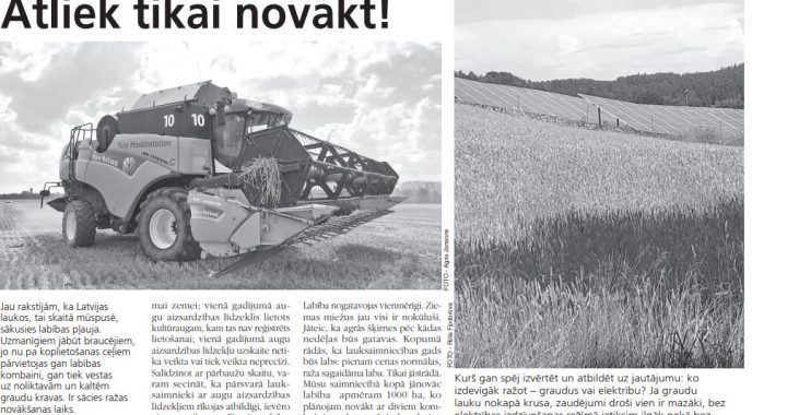 Novadā graudu ražas labas. Atliek tikai novākt!